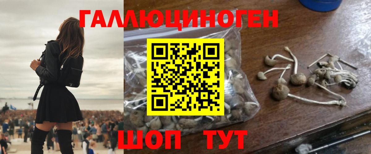 Галлюциногенные грибы Magic Shrooms Бугульма